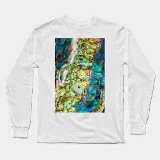 Peacock feathers Long Sleeve T-Shirt